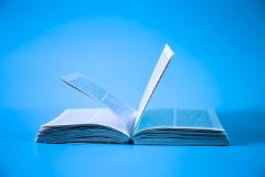 Literature